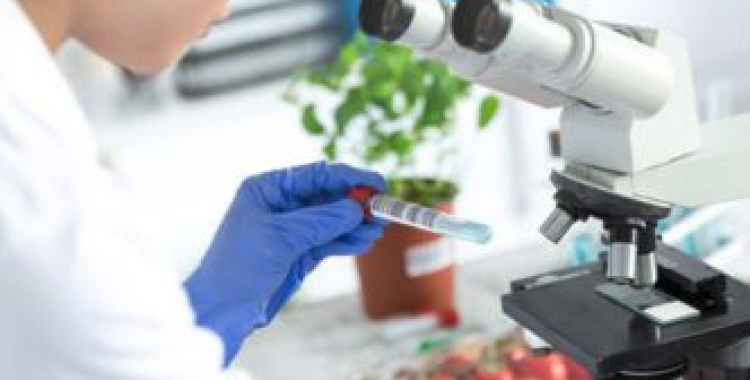 El Consell Comarcal busca dones que vulguin formar-se en indústria agroalimentària