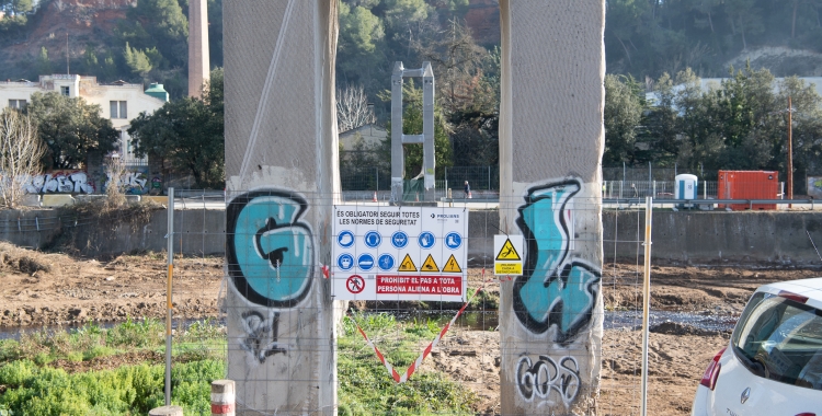 Una passera del Ripoll/ Roger Benet