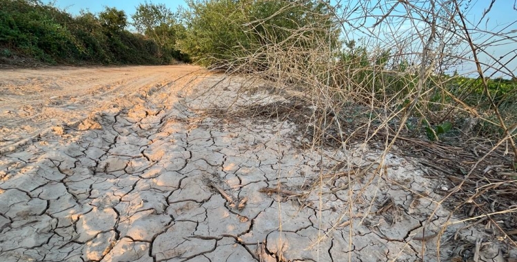 Amb les pluges, els embassaments s'han recuperat un 1 per cent | Arxiu
