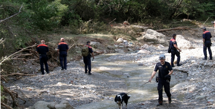 Bombers treballant a la zona | Albert Hernández (ACN)