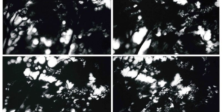 "Rastros de luz (secuencia)" de l’artista Júlia Rodríguez-Arias Honorato