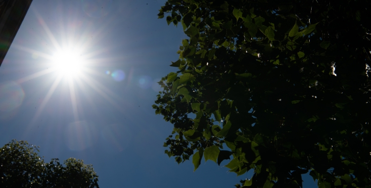 El sol d'agost/ Roger Benet