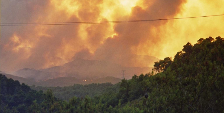 20 anys dels incendis de Sant Llorenç que van cremar 5 vides i més de 4.500 hectàrees | Cedida