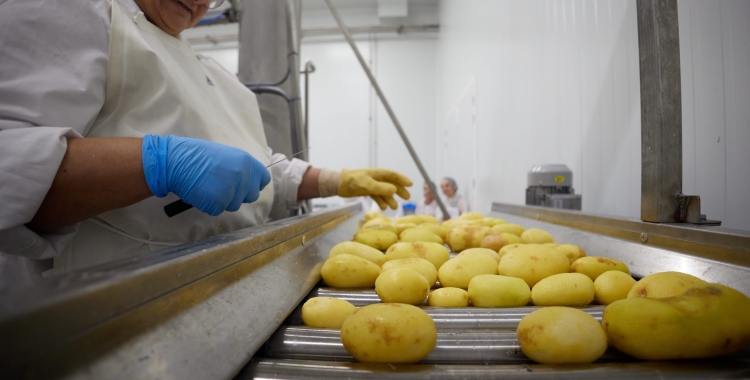 Procés d'elaboració de les patates de Sant Tomàs/ Cedida