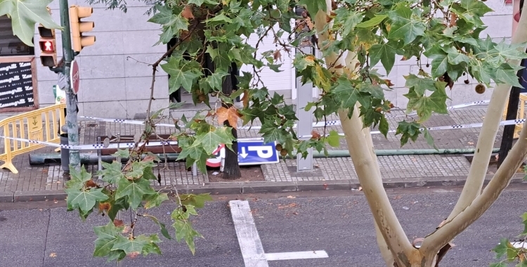 El fanal caigut, a al Ronda Zamenhof