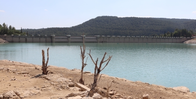 Els embassaments són ara al 23 per cent | ACN