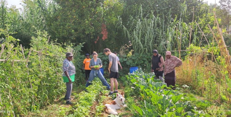“Som Torre-romeu” treballa per millorar la qualitat de vida al barri (Cedida)