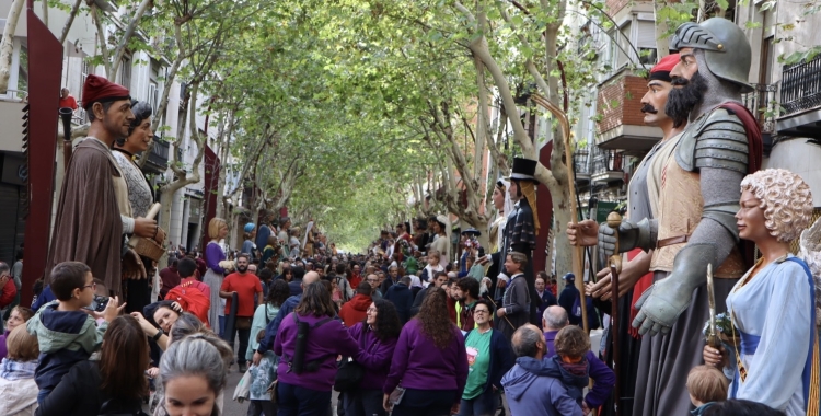 Plantada de gegants, aquest diumenge a la Rambla | Júlia Ramon