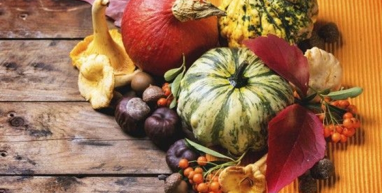 La tardor a taula: ingredients i receptes amb el xef Josep Maria Villagrasa 