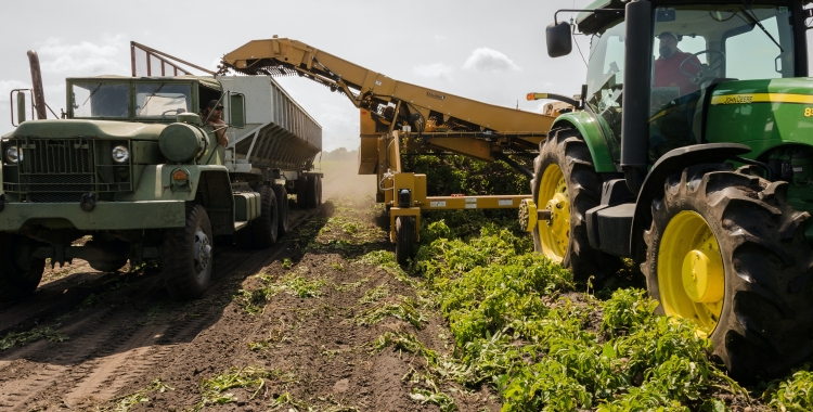 Un estudi de l'ICTA diu que la pagesia malbarata 46,5 milions de tones a Catalunya | Pexels