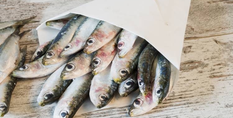 Tothom a Taula: Per què hem de menjar peix blau?