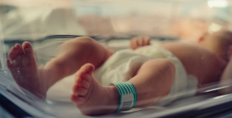 Un nadó en una incubadora | Pexels