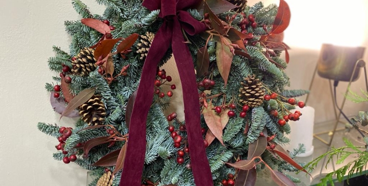 Les millors plantes de Nadal per decorar la teva llar! 