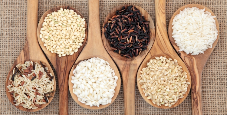 Tipus d'arrossos (cedida)