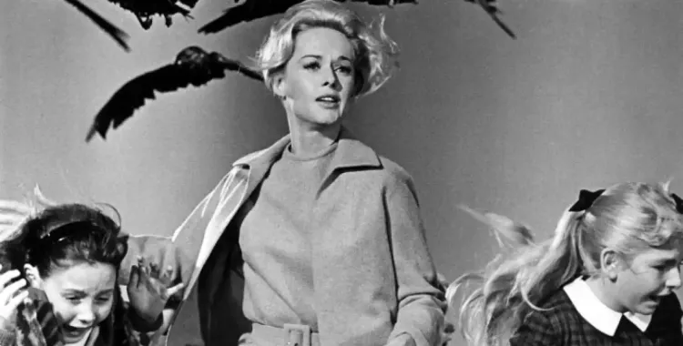 ‘Els ocells’ de Hitchcock, entre el més destacat de la nova programació 