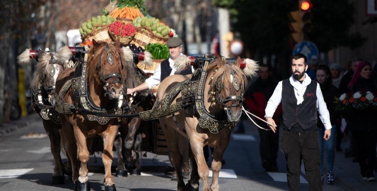 Sant Antoni 2020 | Roger Benet