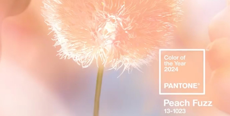 Peach Fuzz, Color Pantone  2024