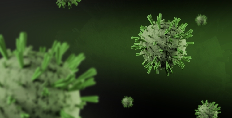 El pic de la grip supera el de l'any passat | Daniel Dan