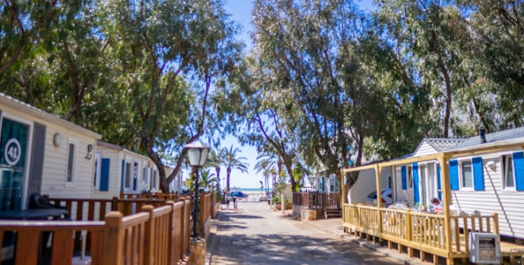 El càmping de Sant Salvador | Cedida