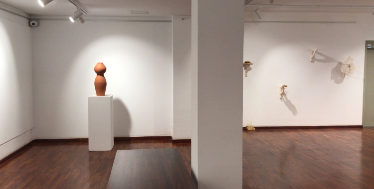 El Cub Blanc: L'artista Joan Carreras exposa a Belles Arts  