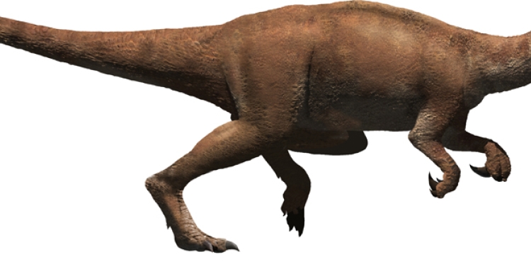 L'alta presència de carnívors va fer que no hi hagués TREX a la península | Cedida