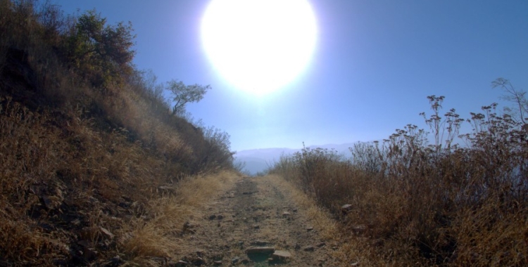 Les altes temperatures són la tònica aquests dies | ACN
