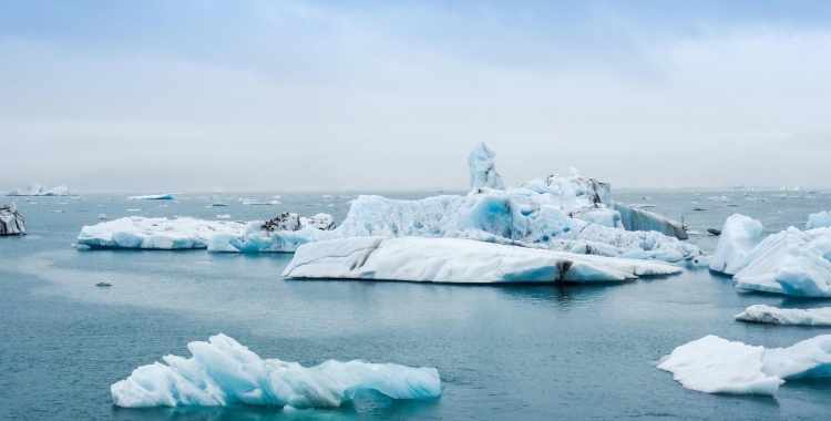 Els ecoinfluencers impacten a Instagram amb la seva lluita contra el canvi climàtic