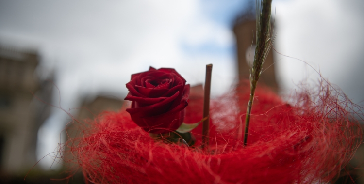 Roses de Sant Jordi a Sabadell l'any 2022