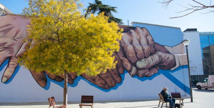 arbre ple de flors a Sabadell