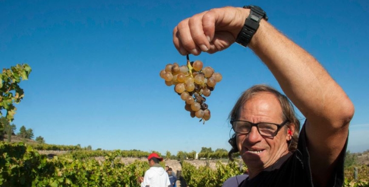 Dolors Llonch L'Olivera Justícia i Pau