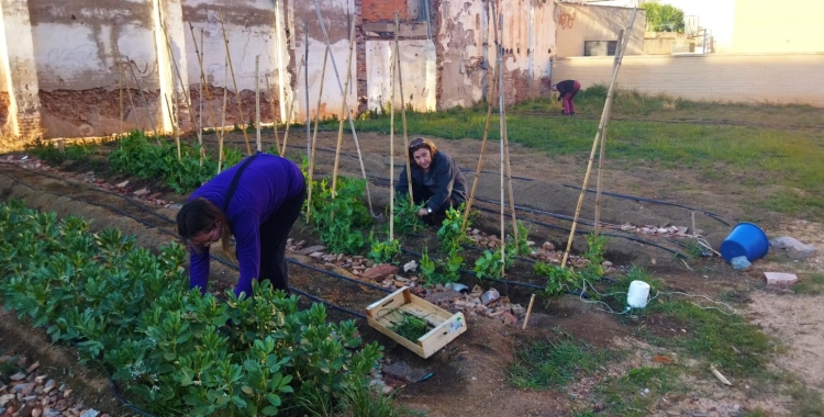 L'Horta de Can Borrell | Cedida
