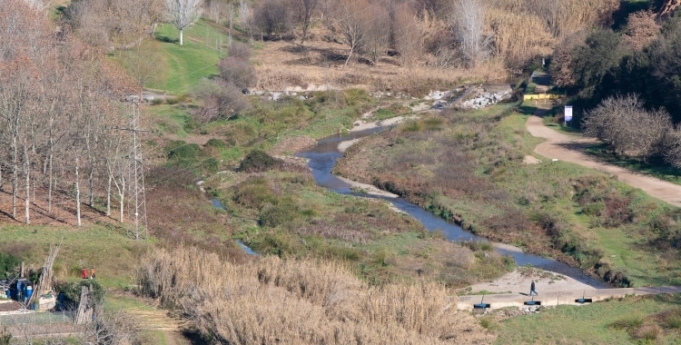 Una imatge del riu Ripoll amb aigua