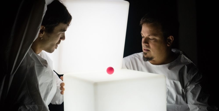 Connexió Estruch Projecte Mam