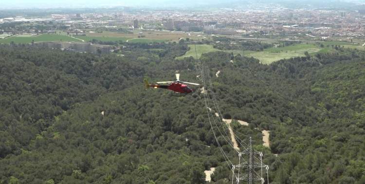 Un moment del simulacre sobre la prevenció d'incencis al bosc | Ràdio Sabadell