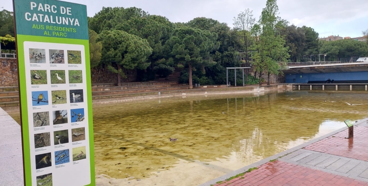 El llac del Parc Catalunya abans del buidatge