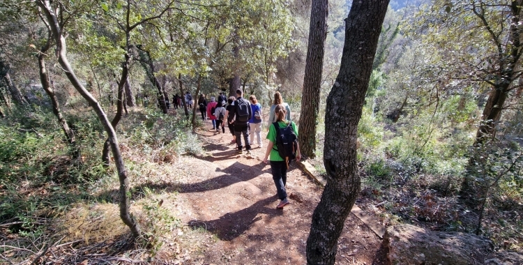 Un grup de gent caminant pel bosc