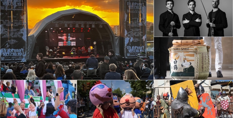 Imatges de l'Embassa't, la Romeria, la Festa Major de la Creu Alta o Medievàlia 