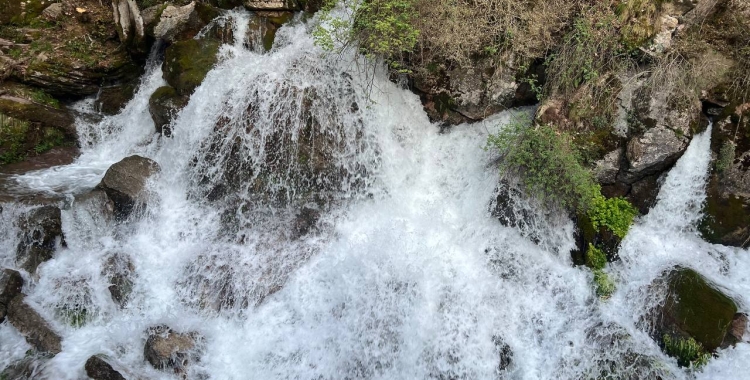 Una de les fonts del Llobregat amb un important volum d'aigua | ACN