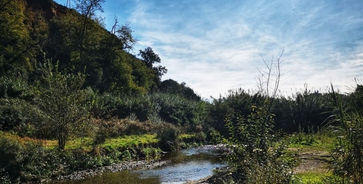 Consell Comarcal riu Ripoll