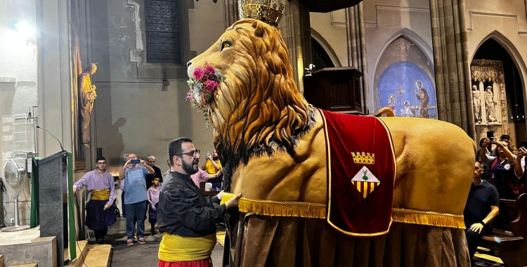 El Lleó dins de l'esglèsia de Sant Fèlix | Mireia Sans