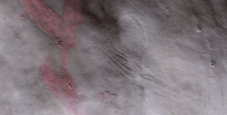 Els símbols pintats que s'han localitzat a la Cova Simanya | Diputació de Barcelona