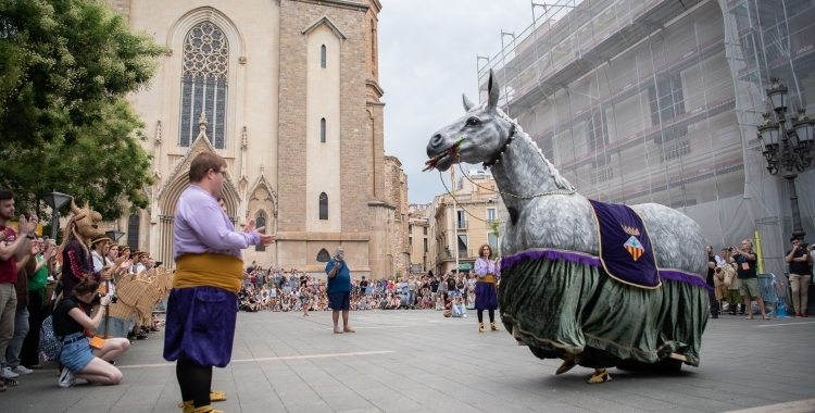 L'estrena de la Mulassa l'any que ve per Sant Feliu | Arxiu