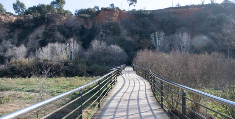 Un dels ponts del Ripoll