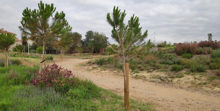 Un dels espais del Parc del Nord | Arxiu