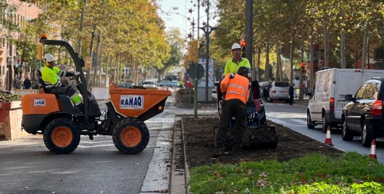 Treballs a l'Avinguda Matadepera