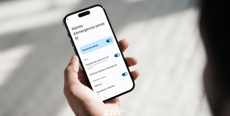 Cal activar l'opció a la majoria de mòbils per poder rebre els avisos