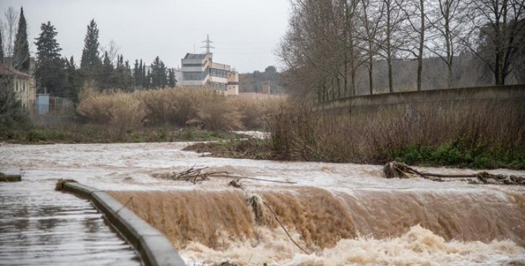 Crescuda del riu Ripoll després d'un temporal al 2020 | Roger Benet