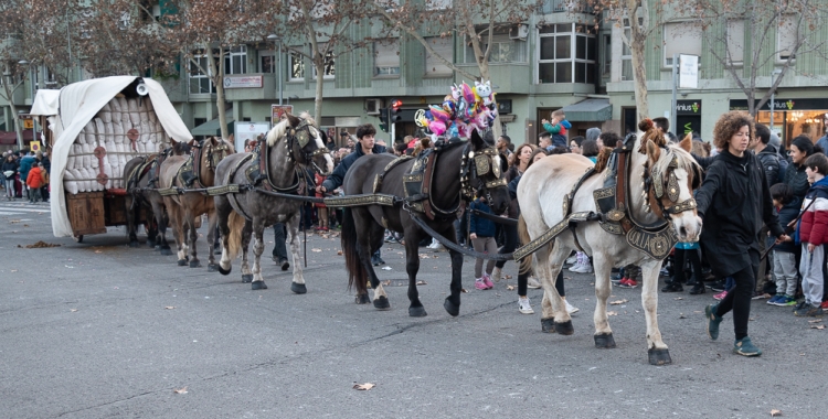 Un dels carruatges que participen a la passada de Sant Antoni | Roger Benet