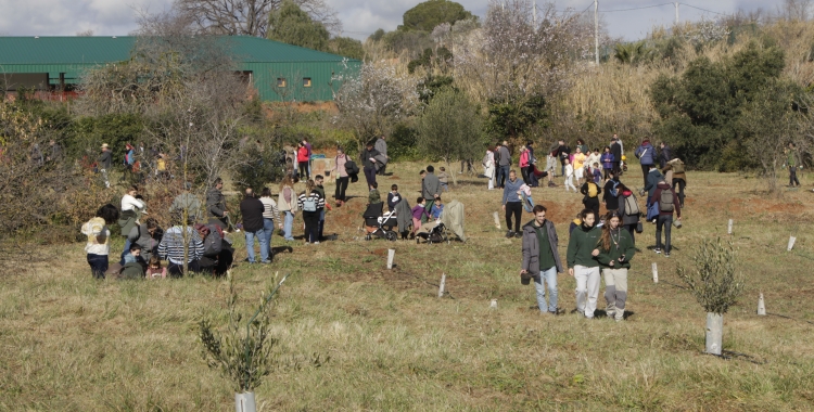 La Festa del Parc Agrari