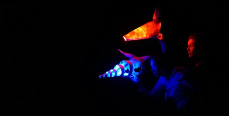 Una imatge de l'espectacle | LaSala